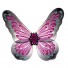Крылья Бабочки 107х74 см