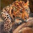 Алмазная мозаика Леопард 40х50 см