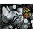 Алмазная мозаика Кошка с бабочкой 40х50 см