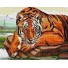 Алмазная мозаика Тигр 40х50 см