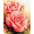 Рисование по номерам Розовые розы 40х50 см
