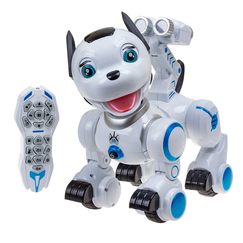 Можно роботы игрушки. Робот р/у собака ZYB-b2856 АКБ. Робот Zhorya дружок ZYB-b2856. Интерактивная игрушка робот Junfa Toys сражение роботов sf21563. Робот р/у собачка 8315b.